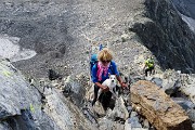 76 Stelina stanca di rocce ...